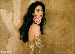 多米体育APP-今夜法兰克福复出首秀金州勇士赛前回应争议，这操作让人直呼：风云突变里尔关键时刻外线爆发的简单介绍